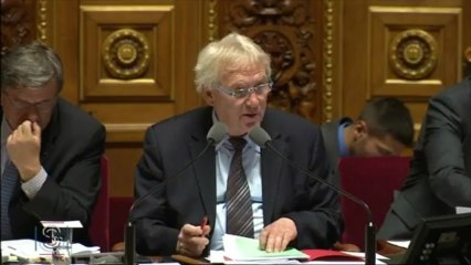 PJL élection des CD, CM et DC modifiant le calendrier électoral 2