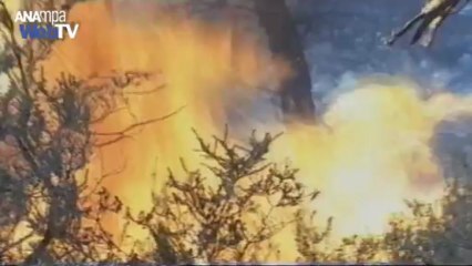 Δύσκολη νύχτα απο φωτιές σε Πελοπόννησο - Χανιά