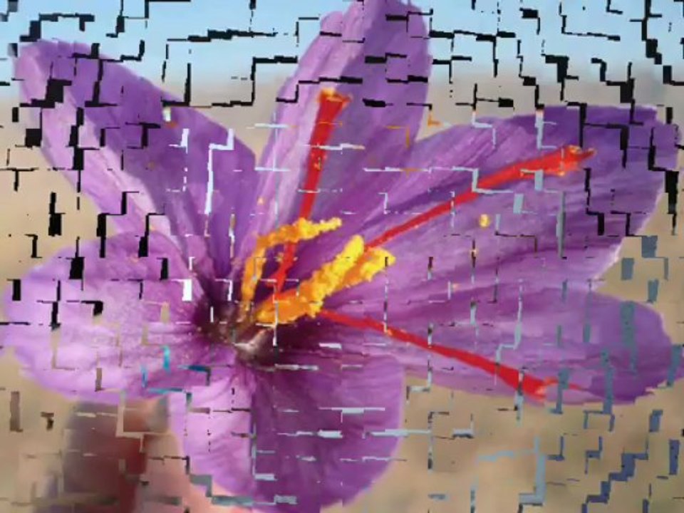 Saffron Extract 100% Pure Premium Natural Weight Loss