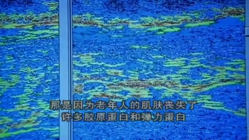 人體漫遊