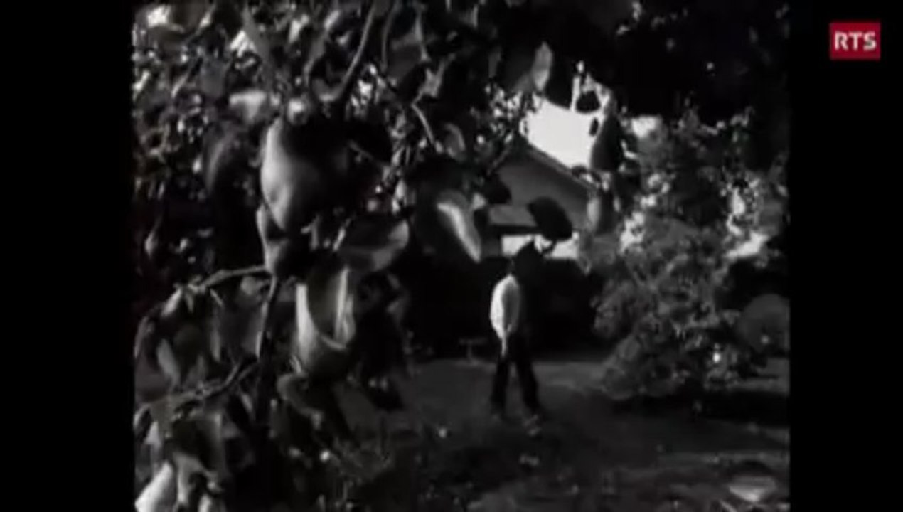 - Jacques MONTY (68)- "" Attends Moi ""