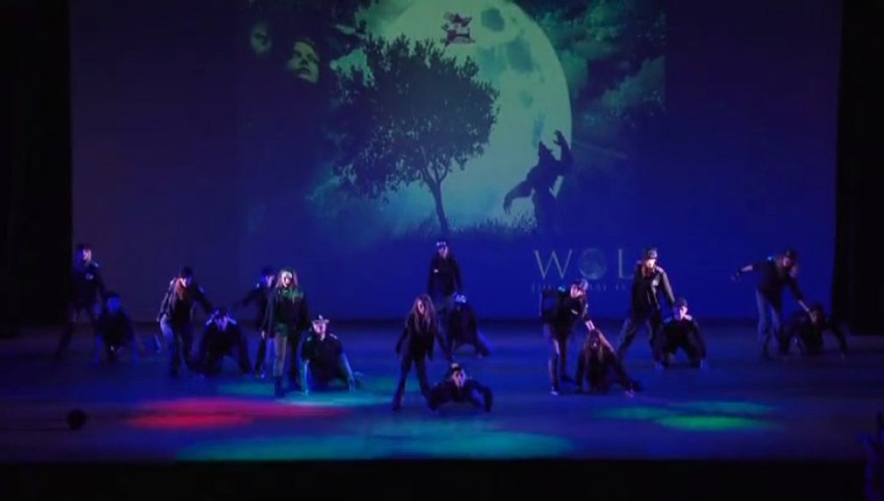 FREEDSTYLE KRUMP WOLF 2012