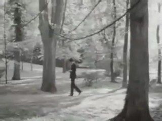 -  Michel Delpech (68)- "" Bécassine ... ""