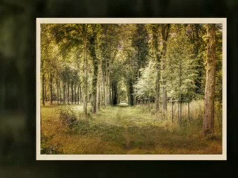 Dusica Bilkic i NO RTB-a - Znas li dragi onu sljivu ranku_