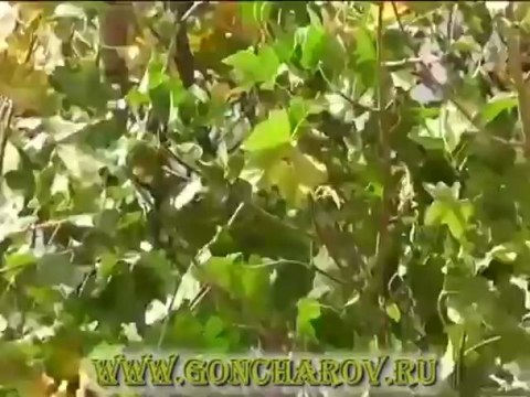Геннадий Гончаров. Места силы. Крым.