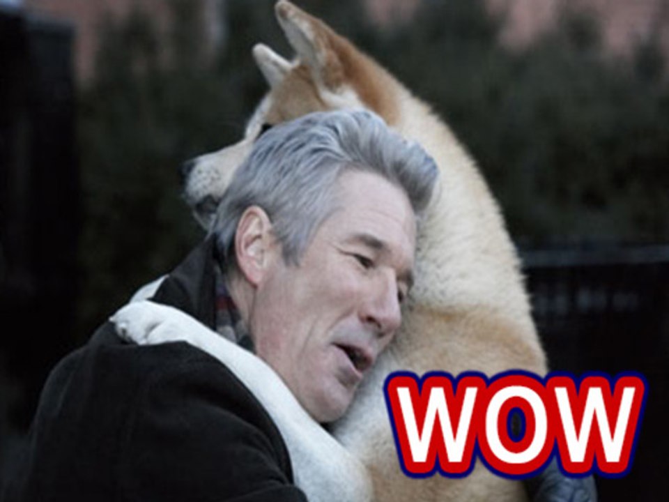 WOW A Dog Waited For His Master For 9 Years