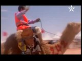 Camel racing in the Western Sahara Territory (Sahara Occidental)