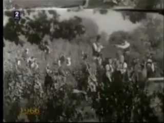 Duet Radulovic - Jovanovic - Aj, berem grozdje