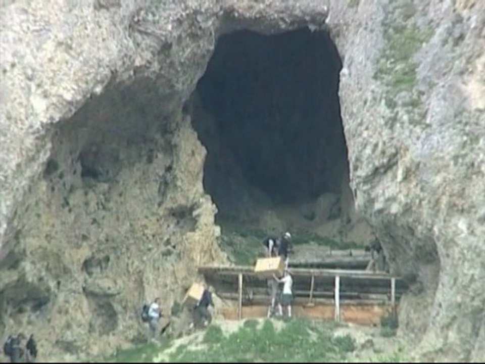 Lâcher de gypaètes barbus dans le parc du Mercantour