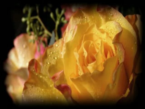 Dusica Bilkic i ansambl _Krnjevac_ - Cula jesam dragane!!!