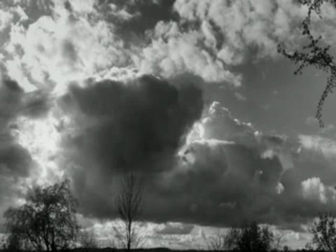 Dusica Bilkic - Sedela Magda