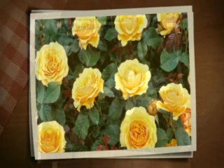 Aleksandar Manojlovic i TO RTNS - Alaj, nane, sto je zloba na me!