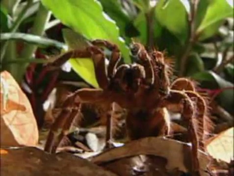 Kadıköy günlük kiralık daire ev 05426834113 sahibinden kadıköy istanbul anadolu günlük kiralık sahibinden apart pansiyon otel rezidans kadıköy sahibinden evler