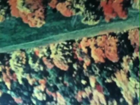 Helado Negro - Relatives