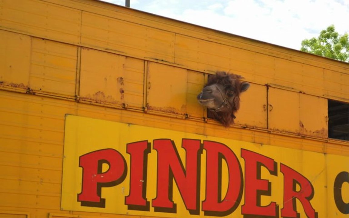 Montage du Cirque Pinder Clermont Ferrand - 30 ans de France Bleu Pays d'Auvergne