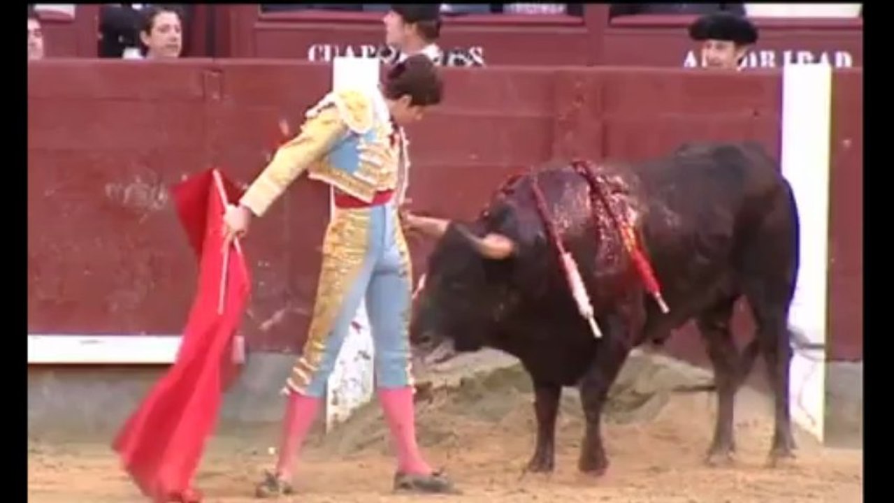 LOS TOROS 28-5