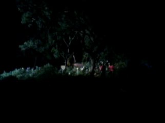 Corte de Árvores Gasômetro Porto Alegre - Copa - Formula Indy