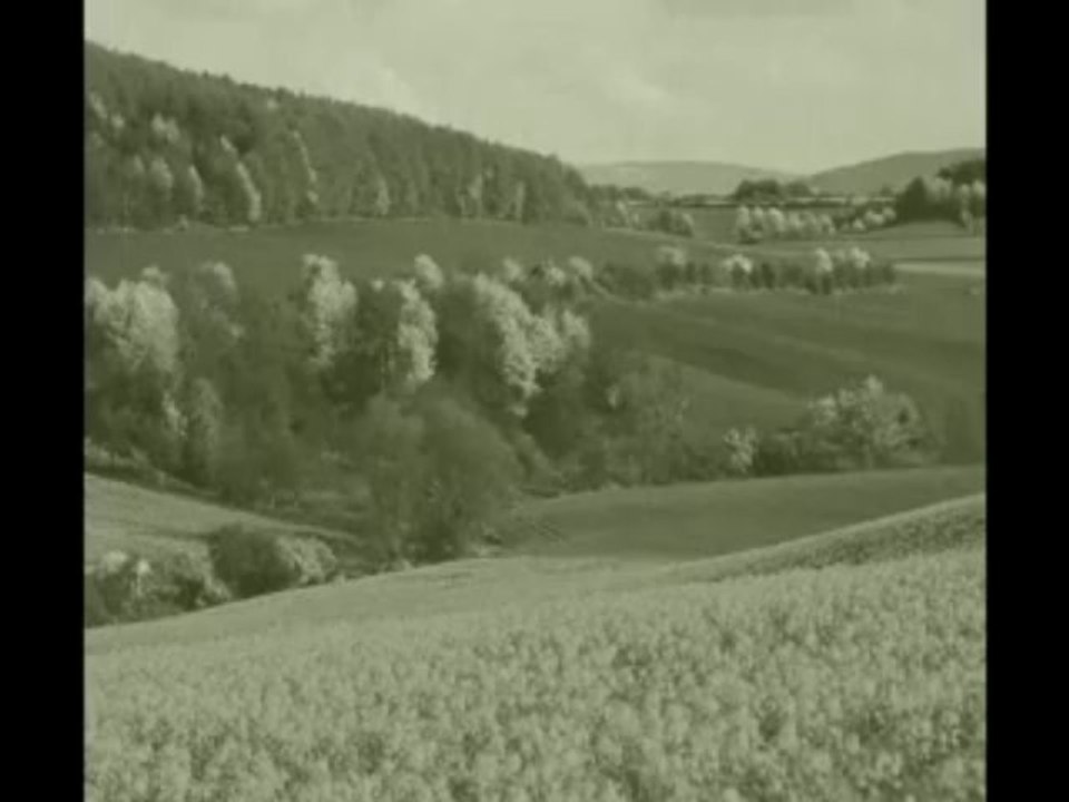 Sonja Perisic - Tisina nema vlada svud