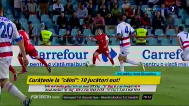 telefon Ionel Danciulescu FANATIK