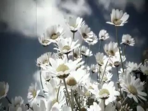 Gordana Runjajic i NO Carevac - Oj, livado, rosna travo!