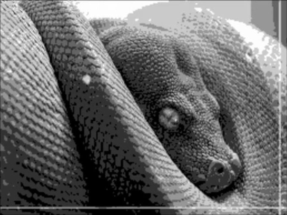 The Serpent (Face Full Of Fist / Sadness And Anger 2)