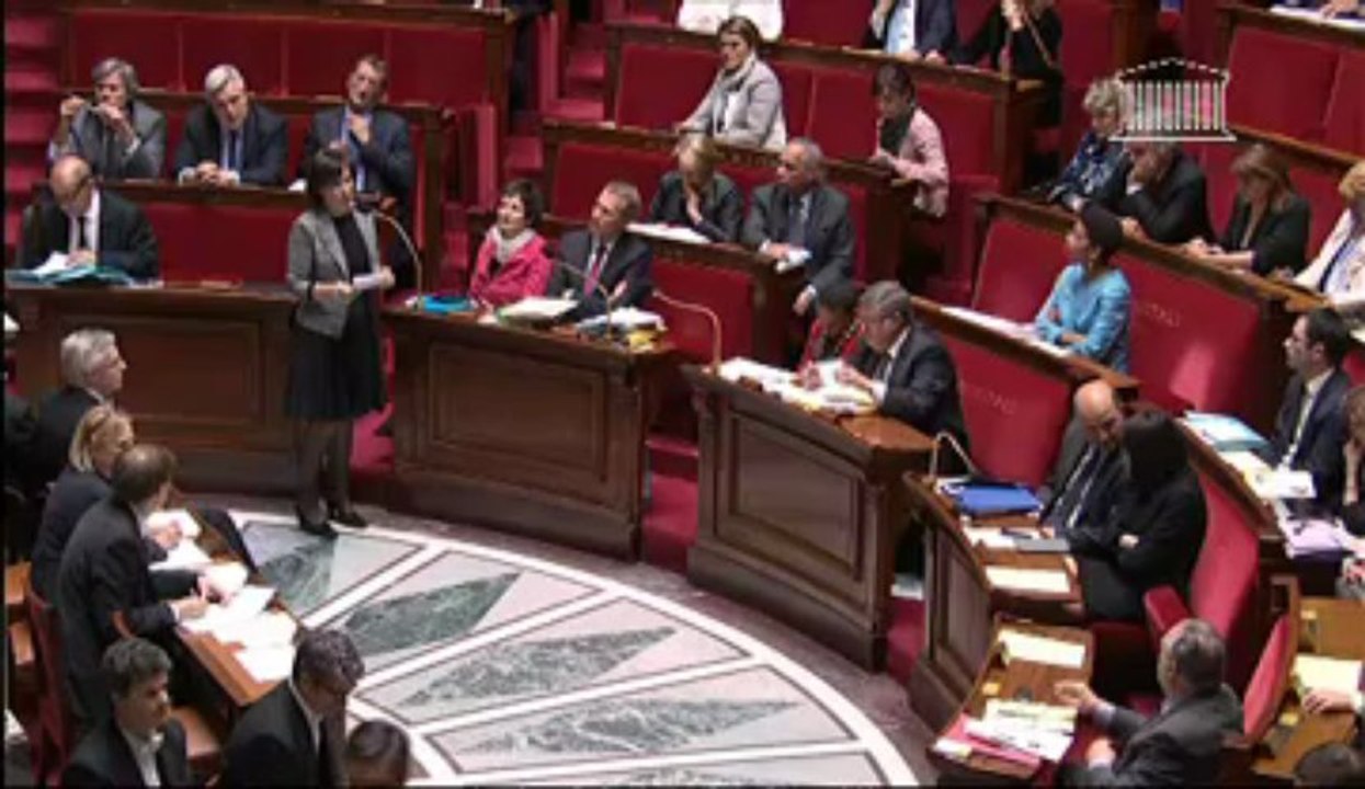FEAD : réponse de Marie-Arlette Carlotti aux députés (29 mai 2013)