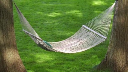 'Goldilocks' Criminals Break Into Home, Make Themselves Comfortable