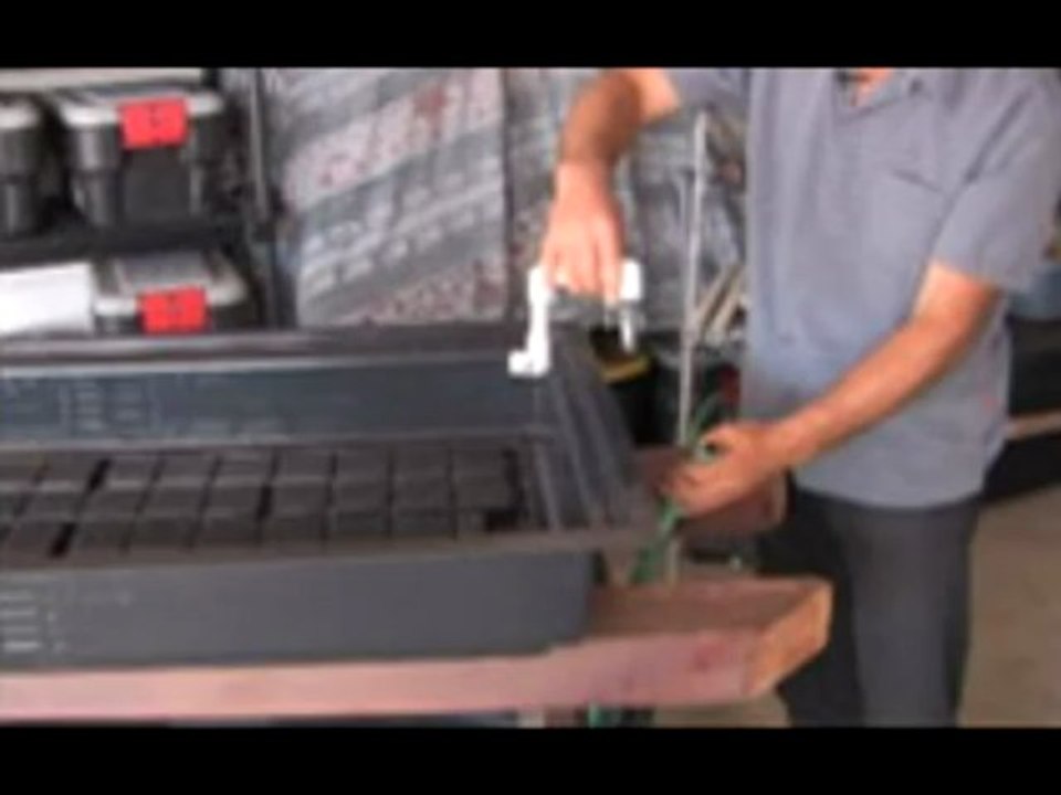 Aquaponics 4 You