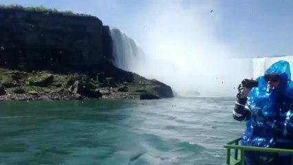 Niagara fals