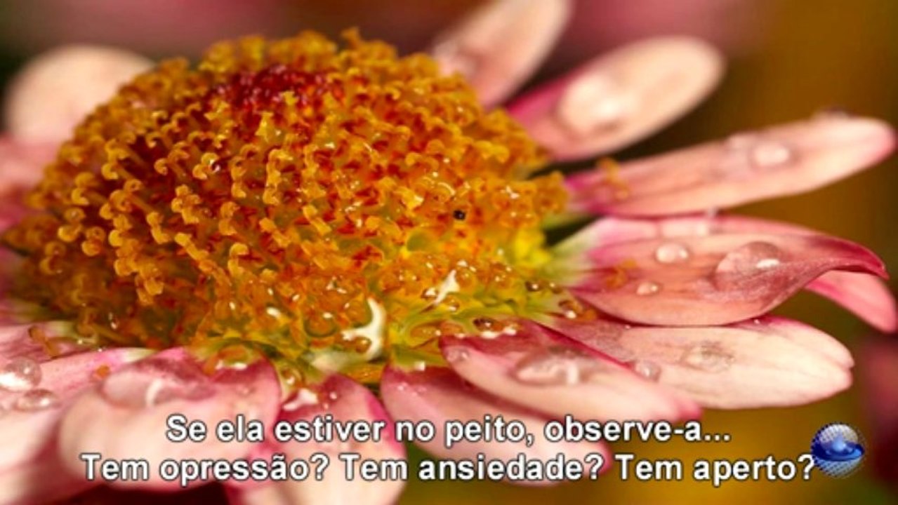 Relaxamento - Terapia da Respiração HD