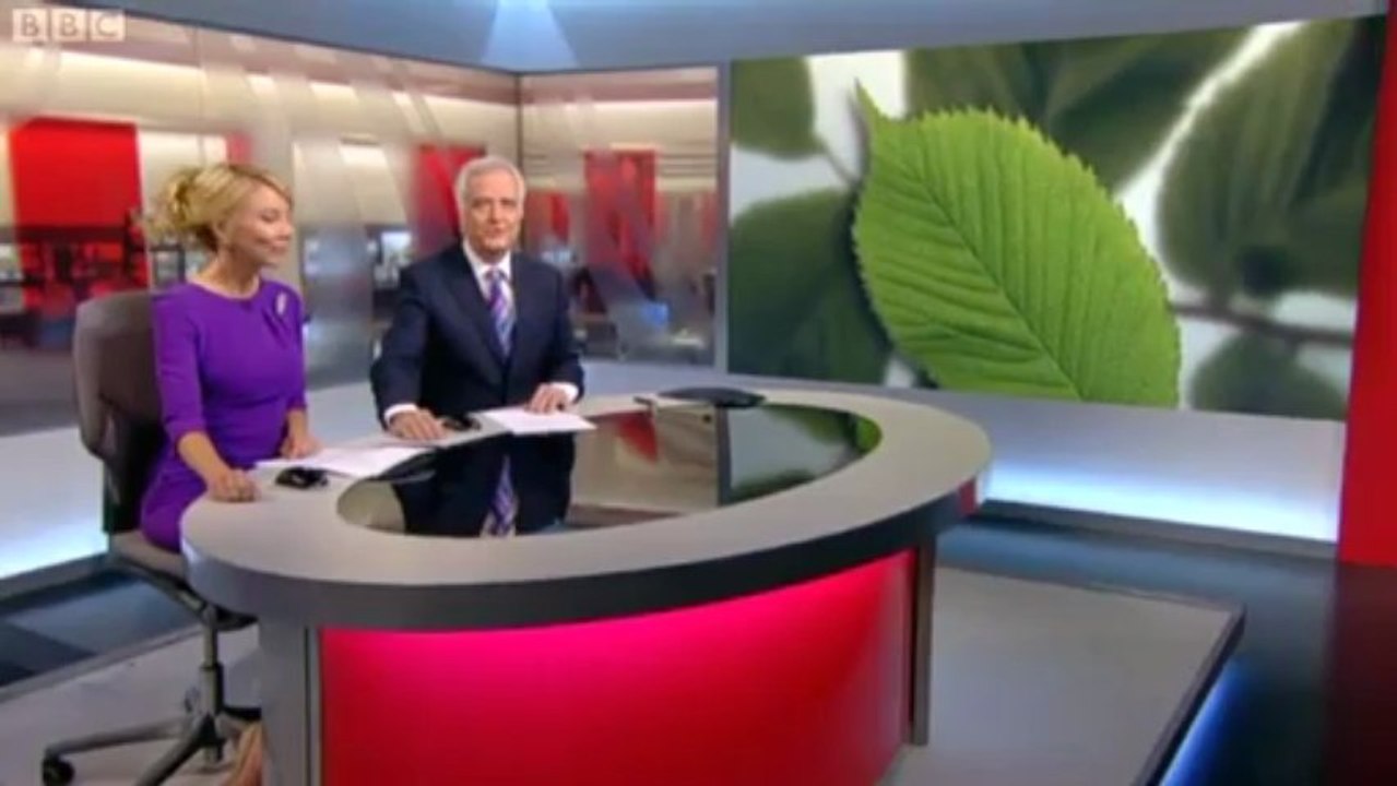 BBC Points West - 28/5/13