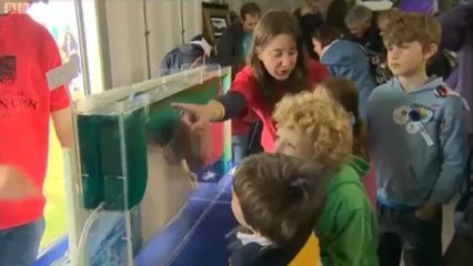 BBC Wales Today - 28/5/13