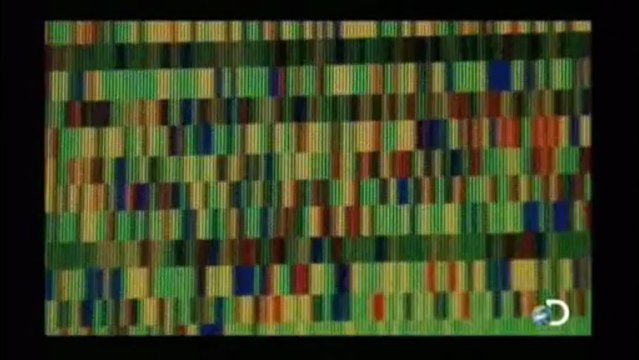 Discovery na Escola - Segredos Genéticos [Discovery Channel]