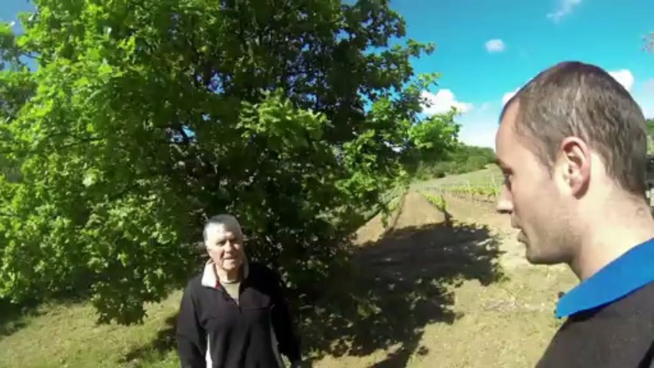 Produire des truffes. Mycorhizez vos arbtres truffiers simplement et sans efforts.