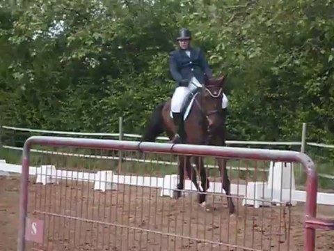 Concours dressage Club3