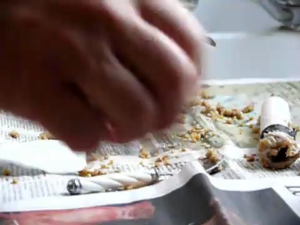 Le gavage de Coco le jeune pigeon