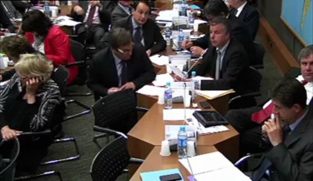 Audition de Karine FOUCHER, Maitre de conférence sur la question prioritaire de constitutionnalité et le droit de l'environnement