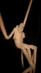 ART SINGLULIER  textile sculptures