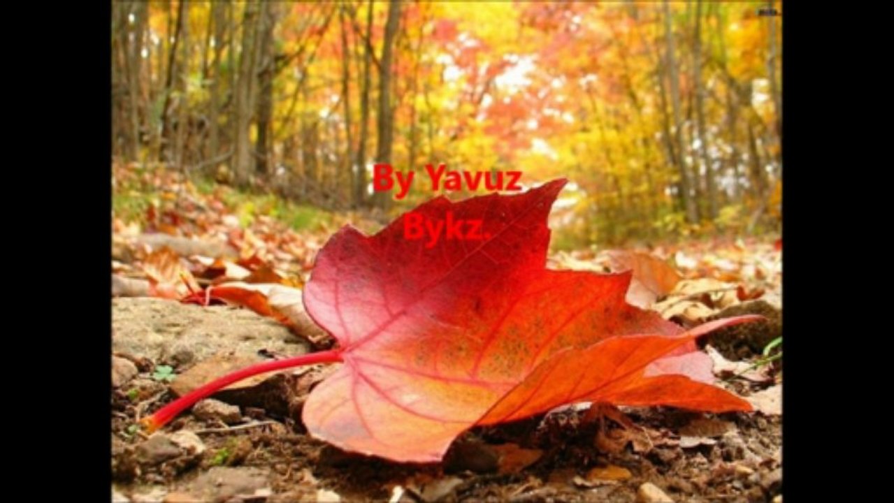 ÖMRÜMÜN SON BAHARINDA (BARIŞ MANÇO)