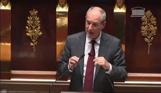 Guy Geoffroy - Attributions du Garde des Sceaux et du ministère public en matière de politique pénale