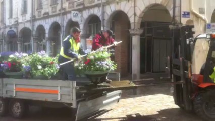 Arras : Les jardiniers municipaux fleurissent le centre-ville