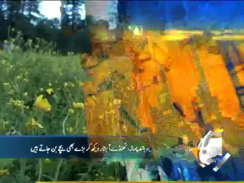 Geo Headlines-30 May 2013-1500
