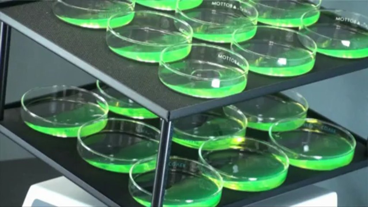 Lab Rocker: VSR-50 Rocker