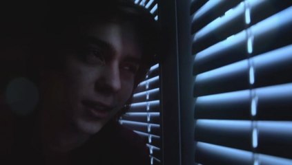 La pince à linge - Klamerka 2013