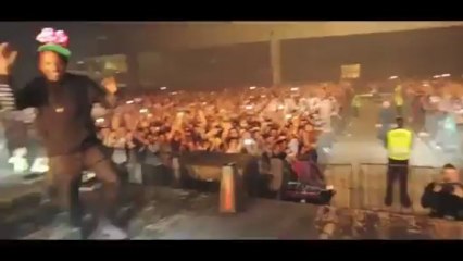 Skrillex Crashed at a Concert in Mexico