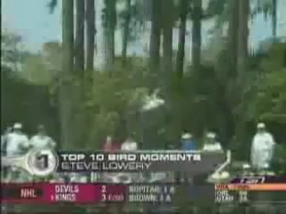 Seagull steals golf ball