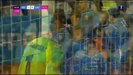 Florin Stefanita Costea - Gaz Metan Severin Goals Video - 2013-2012