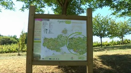 Vignoble nantais