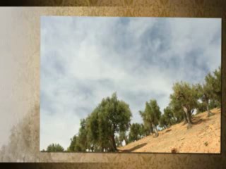 Branislav Mandic i Sekstet Dusana Radetica - Vazdan hodim