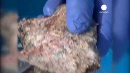 El regreso del mamut ya no es ciencia ficción